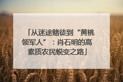 从迷途赌徒到“黄桃领军人”：肖石明的高素质农民蜕变之路